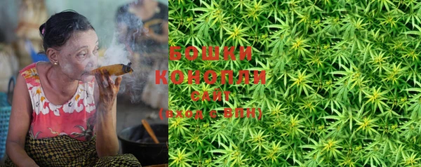 гашик Козловка