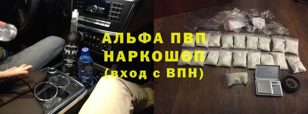 гашик Козловка