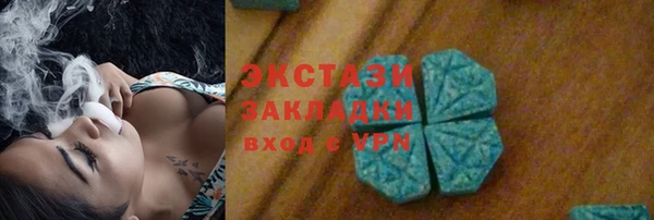 гашик Козловка