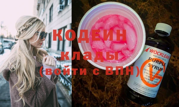 гашик Козловка