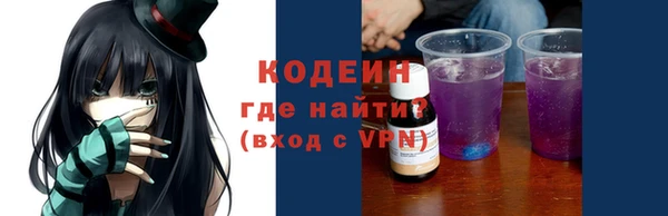 гашик Козловка