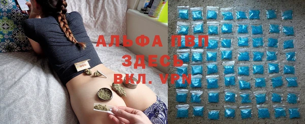 дмт Козельск