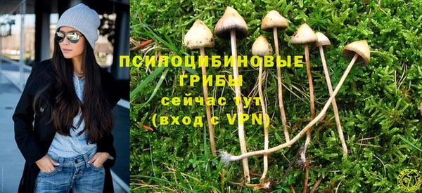мяу мяу мука Кодинск