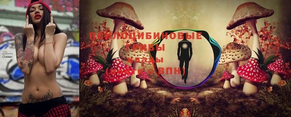 гашик Козловка