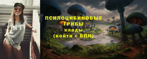 дмт Козельск