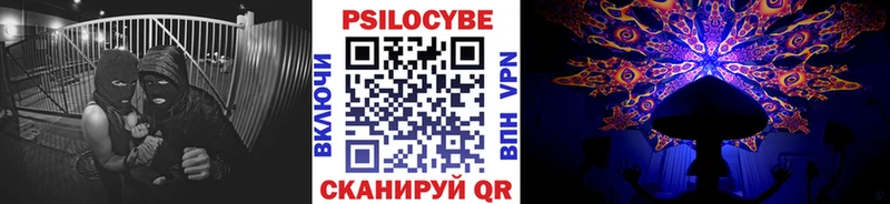 Псилоцибиновые грибы Psilocybine cubensis  Купить где  Динская 